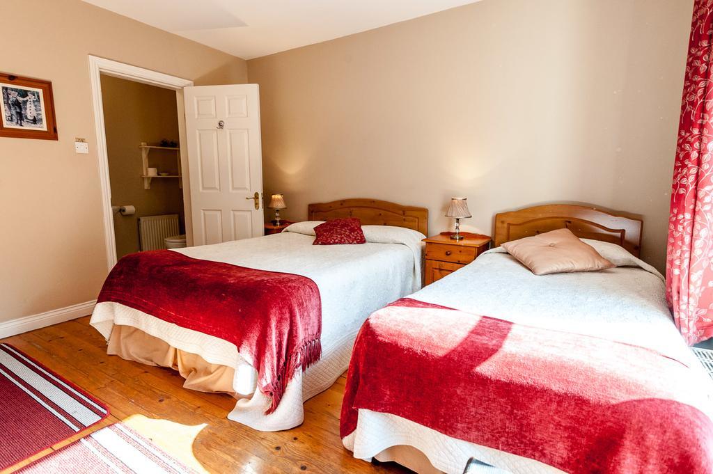 קלונקילטי Macliam Lodge Guesthouse מראה חיצוני תמונה